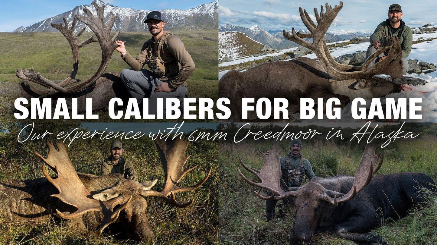 Hunting with 6mm Creedmoor — Our Experience & Your Questions Answered