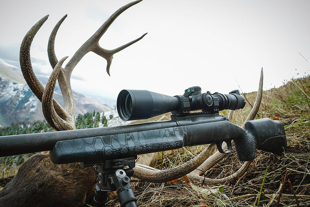 5 Cartridges to Consider for Elk Hunting