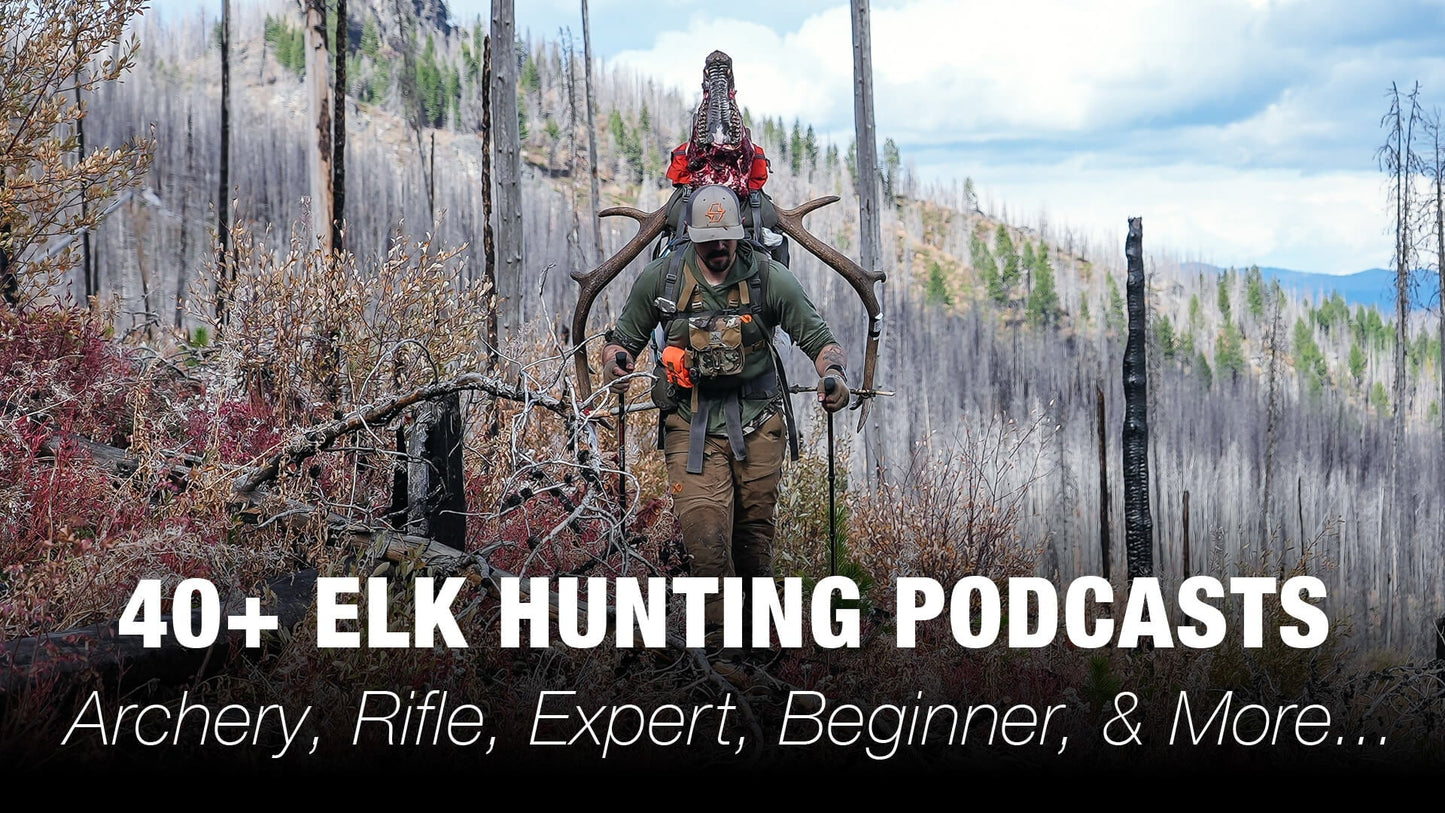 40+ Elk Hunting Podcasts — Archery vs Rifle, Beginners to Experts, and Everything Else