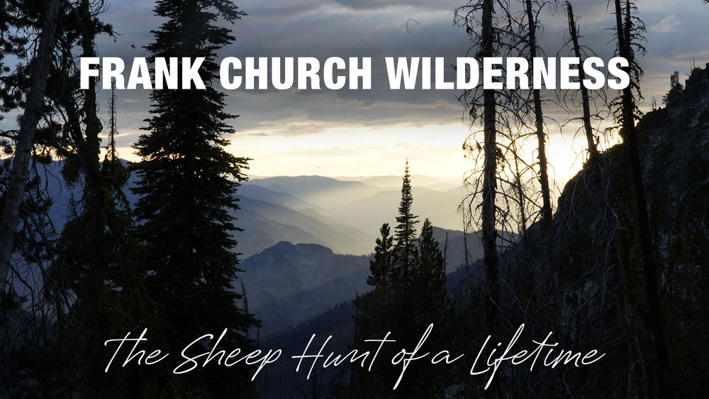 Once-in-a-Lifetime Bighorn Sheep Hunt in the Frank Church Wilderness
