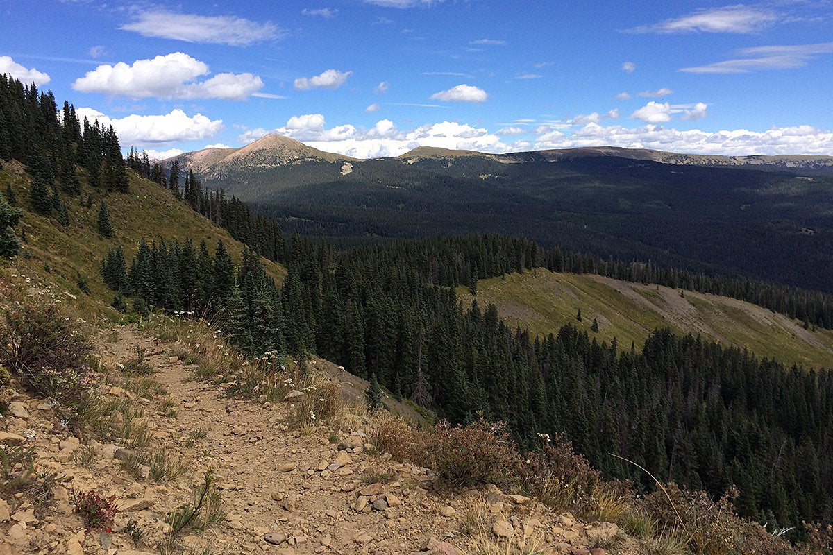 The Highs and Lows of a Week-Long Elk Hunting Adventure