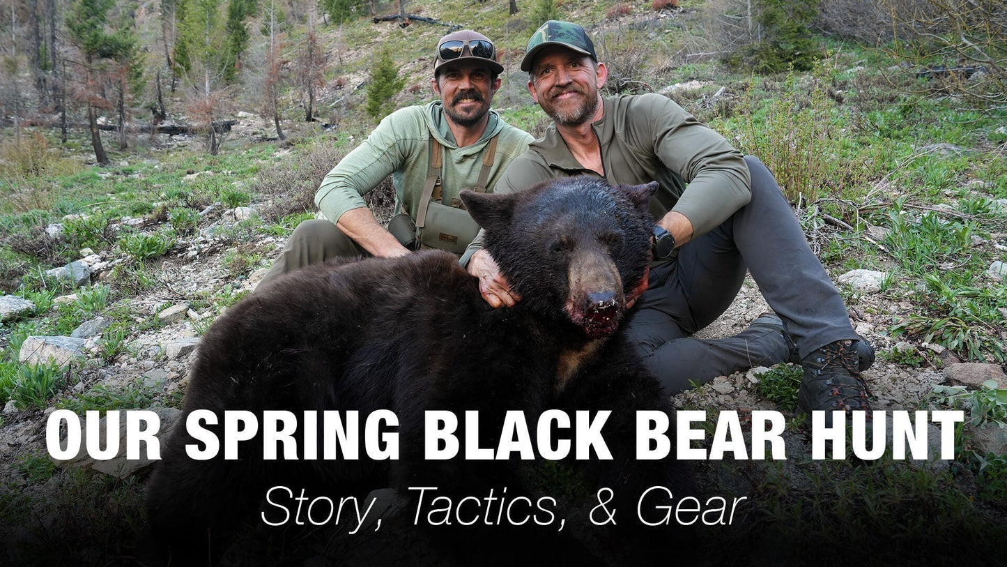 Our Spring Bear Hunt Story, Tactics, & Gear