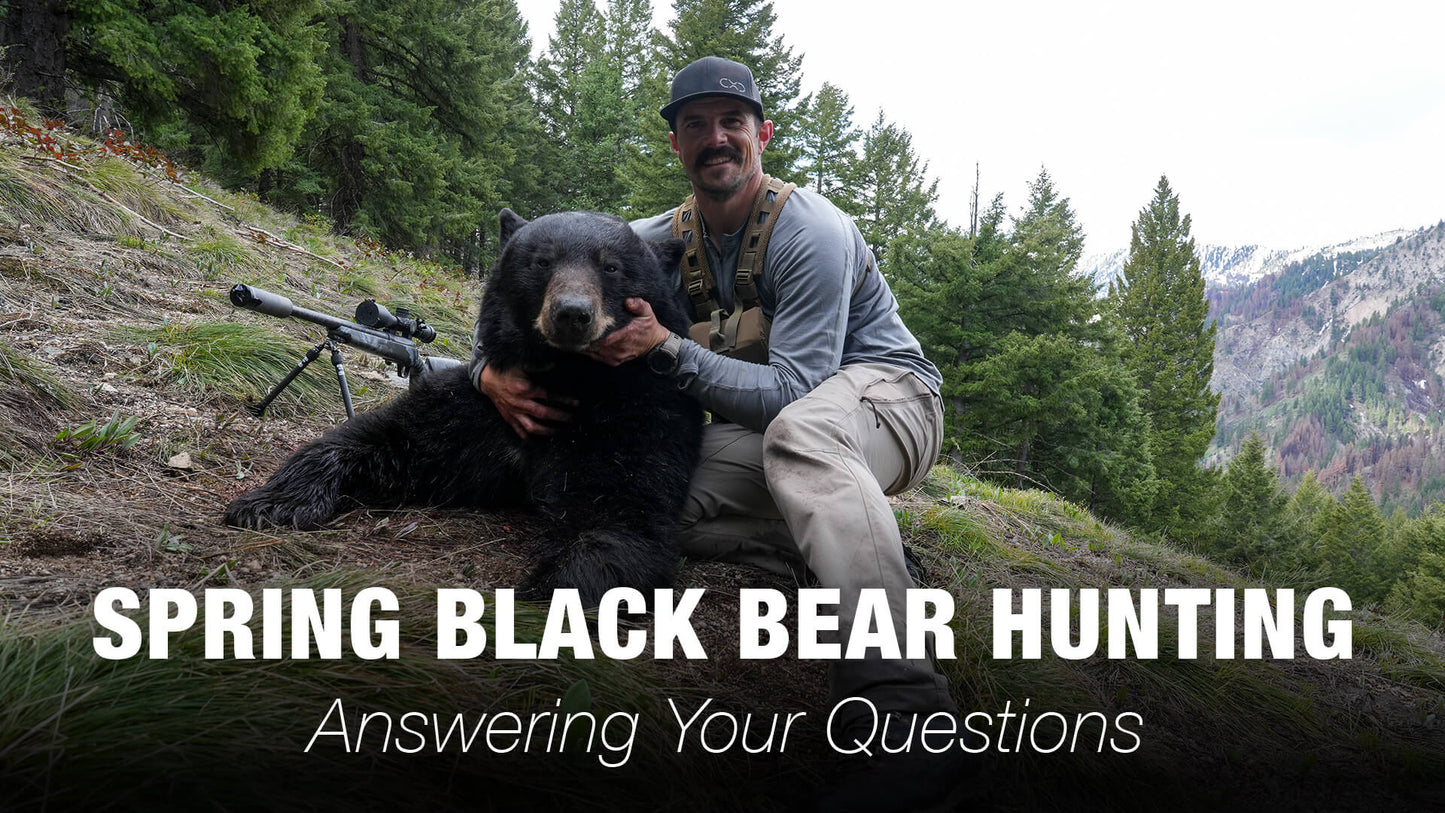 Finding, Judging, and Hunting Spring Black Bears — Expert Q&A with Justin Nelson
