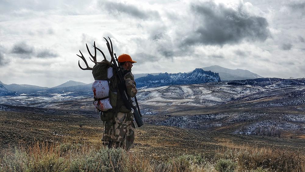 5 Cartridges to Consider for Hunting Mule Deer