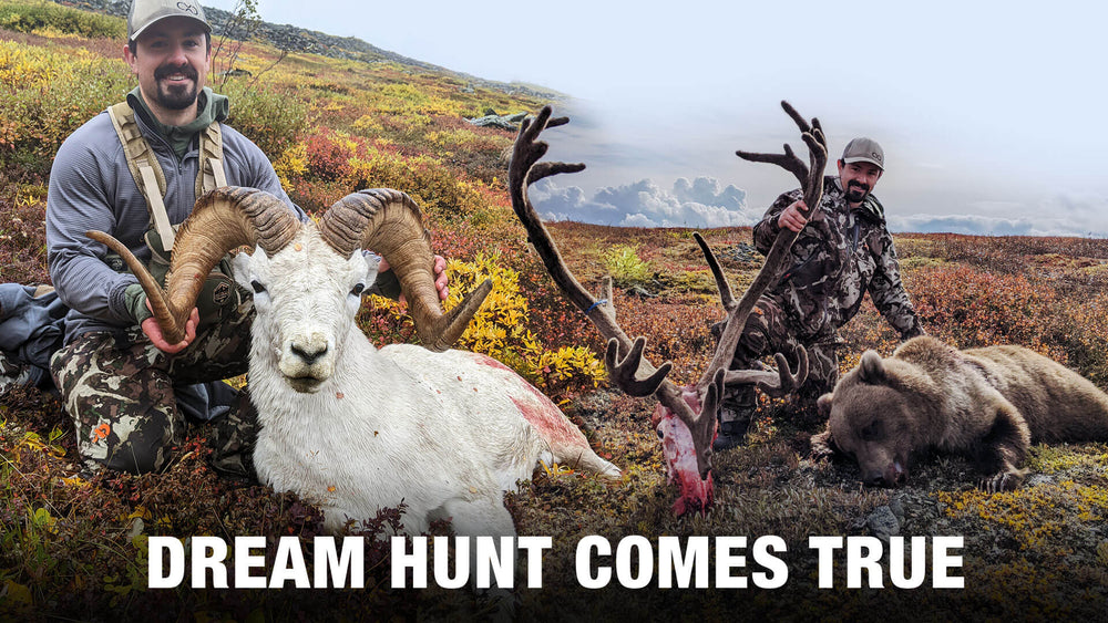 Dream Hunt Come True — Dall Sheep, Grizzly Bear, & Caribou in Alaska’s Brooks Range