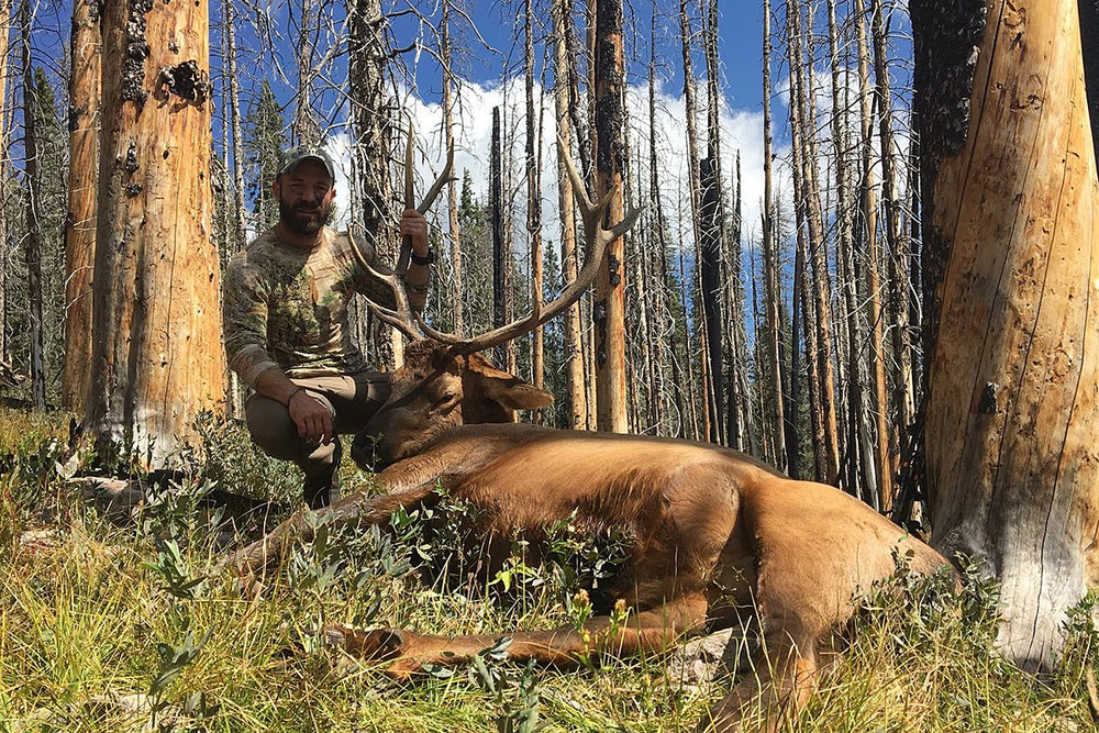 8 Elk Hunting Lessons Learned the Hard Way