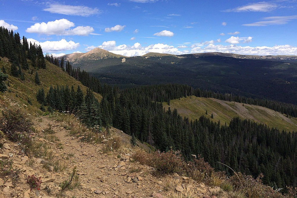 The Highs and Lows of a Week-Long Elk Hunting Adventure