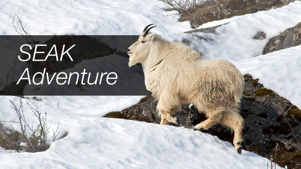 SEAK Adventure — Mark's Mountain Goat Hunt Series