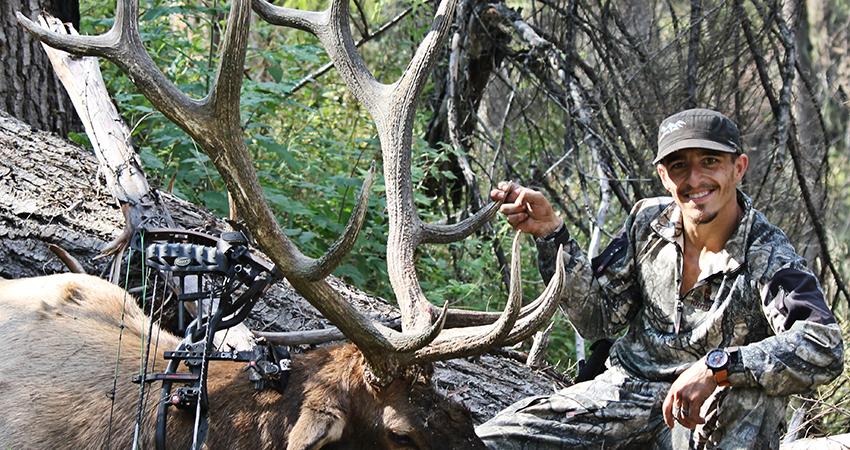 How To Get An Elk Tag (or two!) Every Year