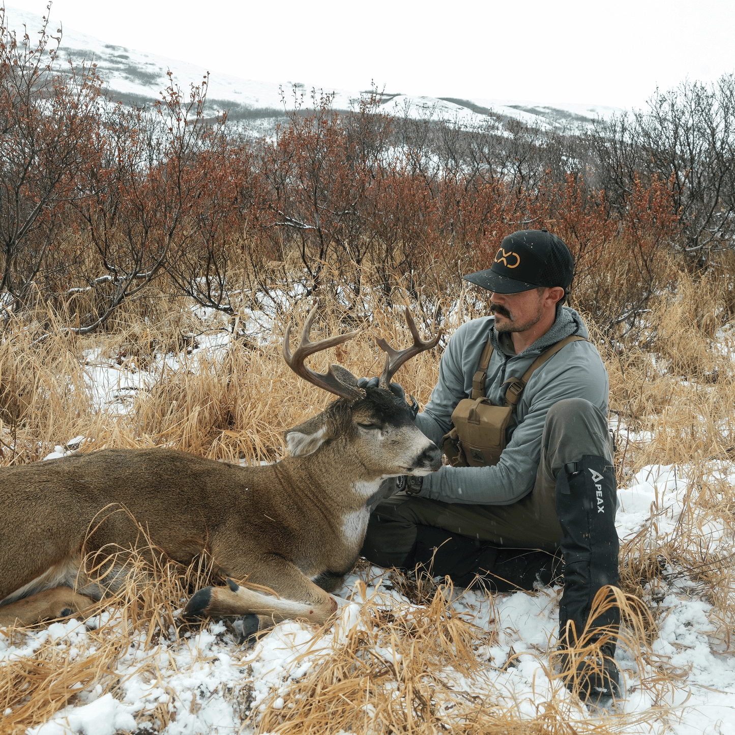 
                  
                    Performance Series: 7-Panel Exo Icon Hat
                  
                